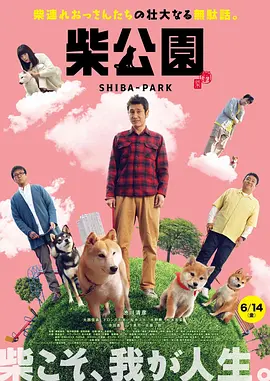 丰满少妇一级片