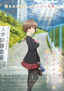 日韩在线播放全免费