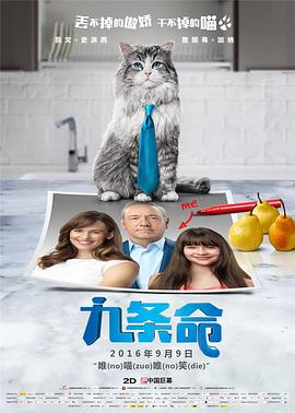 aⅴ免费在线观看
