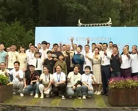 插菊花网站