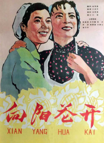 亚洲涩视频